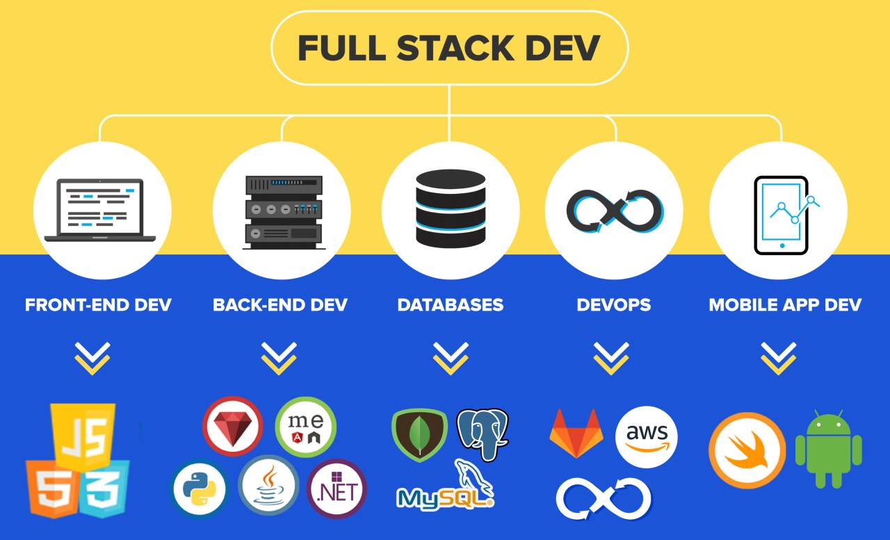 Full stack developer